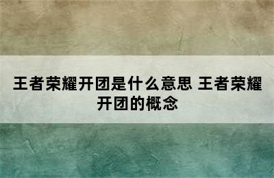 王者荣耀开团是什么意思 王者荣耀开团的概念